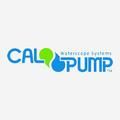 CAL Pump - MacombMarineParts.com