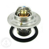 168 Degree Thermostat Kit | Volvo 3831425