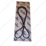 8.1L Serpentine Belt | Crusader R066024A - MacombMarineParts.com