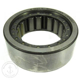 Bearing Race | Velvet Drive 1000134001