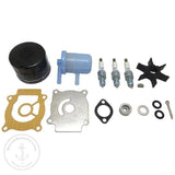 DF25/DF30 Maintenance Kit | Suzuki 17400-89822