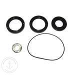 Maxwell  Seal Kit 1000/1500/Freedom Series P90006