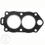 Sierra Head Gasket  Replaces 325273 18-3800