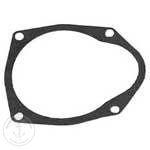 Sierra Impeller Gasket 18-2566