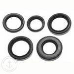 Sierra Oil Seal 18-0172