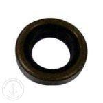 Sierra Oil Seal 18-0525