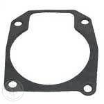 Sierra Wear Plate Gasket 18-2709