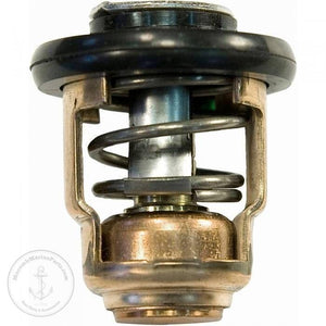 Thermostat Kit | Sierra 18-3540 - MacombMarineParts.com