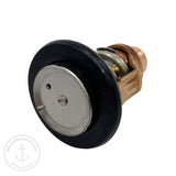 Thermostat | Suzuki 17670-98L00