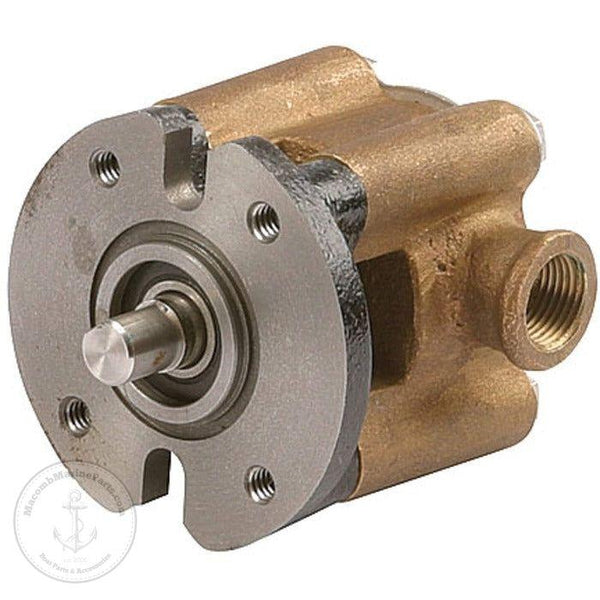 Kohler Raw Water Pump | Sherwood G8001