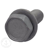 Anode Bolt | Suzuki 09116-06236