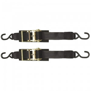 2in. x 2 ft. Heavy Duty Ratchet Transom Tie-Down 2 Pack | Boat Buckle F14206