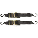 2in. x 2 ft. Heavy Duty Ratchet Transom Tie-Down 2 Pack | Boat Buckle F14206